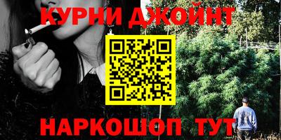 apvp Заводоуковск