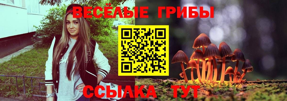 Галлюциногенные грибы MAGIC MUSHROOMS Люберцы